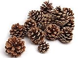 NaDeco Tannenzapfen, Größe ca. 5-6cm, 1kg, ca. 50 STK. Pinus nigra Pinus nigra Schwarzkiefern Zapfen Kiefernzapfen Tannen Zapfen Naturzapfen Weihnachtsdeko Adventsdek