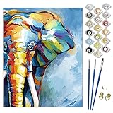 SUMGAR Malen nach Zahlen Erwachsene Elefant Bunt Tiere DIY Öl Leinwand Gemälde Set für Anfänger & Senior Acrylic Malen Malerei Heimwerk 40x50cm (Ohne Rahmen)