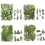 TSLBW 84 Stück getrocknete gepresste Blätter Pflanze Herbariumblätter Blütenblätter Gemischt Echte natürliche trockene Blätter für Harz Kunsthandwerk DIY Nagelaufkleber Verzierungen Dek