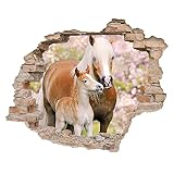Little Deco 3D Wandsticker Wandaufkleber Wandtattoo Kinderzimmer Mädchen Pferd Wanddeko Spielzimmer Wandbild Poster Tapete Schlafzimmer Kleinkind Horse DL639-8