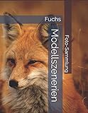 Fuchs - Modellszenerien - Foto-Sammlung