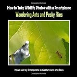 Wandering Ants and Pesky Flies: How I Use My Smartphone to Capture Ants and Flies (How to Take Wildlife Photos with a Smartphone, Band 10)