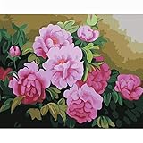 Amrzxz DIY-Rosa Blumenbilder Hauptdekoration Wandkunst DIY Digitales Ölgemälde Nach Zahlen Abstrakte Zeichnung Gemälde Acryl Leinwand（Rahmenlos） 30x40