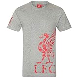 Liverpool FC - Herren T-Shirt mit Printmotiv - Offizielles Merchandise - Grau mit Logo auf dem Ärmel - XL