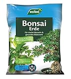 Westland Bonsai Erde, 4 l – Erde mit Tongranulat für starke Wurzeln und gesunde Blätter, Blumenerde zur ideale Wasser- und Nährstoffverteilung