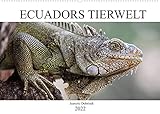 Ecuadors Tierwelt (Wandkalender 2022 DIN A2 quer)