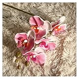 XIAOZSM Trockenblumen Gefälschte 3D Phalaenopsis Orchidee Bouquet Vasen für Esstisch Dekoration Zubehör Hochzeit Szene Set Künstliche Blumen Künstliche Blumen (Color : 3)