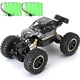 ROIY RC 2,4 GHz Fernbedienung Auto 1.14 Großes High Speed ​​Racing Off-Road-Fernbedienung Auto-Elektro-Spielzeug-Auto-Drift Car Boy Teen Bestes Geburtstagsgeschenk
