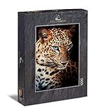 Ulmer Puzzleschmiede - Puzzle „Leopard“ - Klassisches 1000 Teile Tier-Puzzle – Puzzlemotiv Tierportrait eines edlen Leoparden - Moderne Tierfotografie als Puzzle, für Raubkatzen- und Raubtier-F