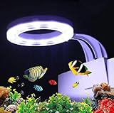 Famkrw LED Aquarium Licht, Clip-On Aquarium Lampe Mit Weiß Und Blau Licht,Fische Tank Beleuchtung Aufsetzleuchte Für Aquarium, Zisternen, Steingärten,Für 20-30