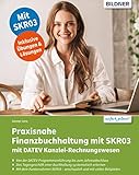 Praxisnahe Finanzbuchhaltung mit SKR03 mit DATEV Kanzlei-Rechnungswesen p