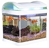 Sweetypet Aquarium: Transport-Fischbecken mit Filter, LED-Beleuchtung und USB, 3,3 Liter (Mini Aquarium)