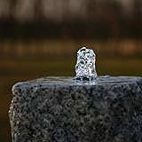 CLGarden LED Ring weiß für Springbrunnen Beleuchtung Quellstein Teich Teichbeleuchtung W