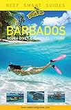 Reef Smart Guides Barbados: Scuba Dive. Snorkel. Surf. (Best Diving Spots in the Caribbean's Barbados)