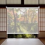 Transparente Vinyl-Rollläden, 4,6 Fuß / 4,9 Fuß / 5,2 Fuß Breit PVC Wasserdichtes Roll-Up-Rollo, für Innen-Außentür Patio Wasserdichter Vorhang (Size : 150×250cm/59×98.4in)