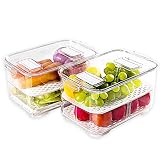 elabo Aufbewahrungsbehälter für Lebensmittel, Kühlschrank, stapelbar, mit Deckel und herausnehmbarem Ablauf für Gemüse, Beeren und Obst, 2 groß