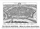 TU FELIX AUSTRIA - Wien in alten AnsichtenAT-Version (Wandkalender 2022 DIN A2 quer)