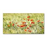 Tulup Glas-Bild Wandbild aus Glas - Wandkunst - Wandbild hinter gehärtetem Sicherheitsglas - Dekorative Wand für Küche & Wohnzimmer 120x60 - Blumen & Pflanzen - Mohnblumen - R