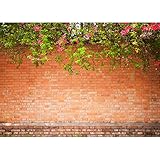 Vintage Brick Wall Thema Fotografie Hintergrund Foto Vinyl Hintergrund Studio Shooting Hintergrund Requisiten A17 7x5ft/2,1x1,5