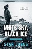 White Sky, Black Ice (Nathan Active Mysteries Book 1) (English Edition)