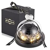 Die Schöne Und Das Biest Rose Ewige Rose Im Glas Mit Led-Lichtern, Enchanted Infinity Konservierte Rosen Weihnachtsdekoration Fur Frauen, Mama, Hochzeitstaggeschenk, Valentinstag, Schw