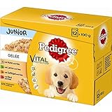 Pedigree Junior in Gelee Multipack 4 x 12x100g H