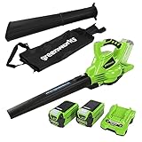 Greenworks Akku-Laubsauger &-Laubbläser 2in1 GD40BVK2X (Li-Ion 40V 280 km/h Luftgeschwindigkeit 45l Fangsack Drehzahlregulierung leistungsstarker brushless Motor inkl 2 Akkus 2,5 Ah und Ladegerät)
