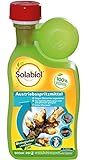 Solabiol Austriebsspritzmittel, gegen überwinternde Schädlinge wie Spinnmilben, Schildläuse und Wollläuse an Obst- und Ziergehölzen, 500