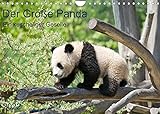 Der Große Panda Ein kuscheliger Geselle (Wandkalender 2022 DIN A4 quer)