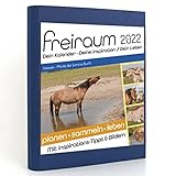 Freiraum-Kalender classic | Henson - Pferde der Somme Bucht, Buchkalender 2022, Organizer (15 Monate) mit Inspirations-Tipps und Bildern, DIN A5