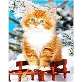 Diamantmalerei 5D,Haustier Katze Diamond Painting 40x50cm,voll Diamant Stickerei kit,kunsthandwerk voor Wand Dek