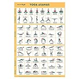 Sportaxis Yoga-Posen-Poster - 64 Yoga-Asanas für Ganzkörpertraining - laminiertes Poster für Training zu Hause mit farbigen Illustrationen - Englisch und Sanskrit-Namen - 45,7 x 68,6 cm (doppelseitig)