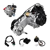 Ambienceo 150CC GY6 Scooter Go Kart Moped Motor 4 Takt Motor Komplettpaket 743 für Baotian Kreidler MZ/MUZ S