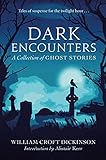 Dark Encounters: A Collection of Ghost Stories (English Edition)