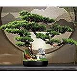 FEIYIYANG Künstlicher Bonsai-Baum Künstliche Pflanzen Bonsai Topfpflanzen, Mini Simulation Kieferwerk Topfpflanze for Home Decoration Desktop Display Garten Dekor Künstlicher B