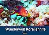 Wunderwelt Korallenriffe (Wandkalender 2022 DIN A3 quer)