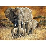 ZMGYA 1000 Teile Puzzle für Erwachsene Elephant-4000 Learning Education Sammlung Moderner Kunst Geschicklichkeitsspiel für die ganze Familie farbenfrohes Legesp