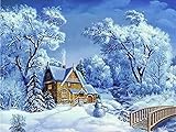5D Diamant Malerei Winter Landschaft Diamant Stickerei Schnee Voll Quadrat Mosaik Kreuzstich Kit Dekoration A11 60x80