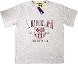 Offizielles FC Barcelona T-Shirt 'Modern Style' grau (L)