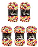 Wollbiene Softy Color 5 x 100 Gramm Chenillewolle Strickwolle, Babywolle, 500 Gramm Wolle Super Bulky (regenbogen 119)