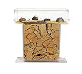 AntHouse - Natürliche Ameisenfarm aus Sand | Acryl T Kit 15x15x1,5cm | Ink