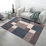 RJIANRA Teppich Wohnzimmer Grau-blaues Rechteck Home 3D Weicher Kurzflor Rugs für Wohnzimmer Shaggy Schlafzimmer Esszimmer Bettvorleger Outdoor Kinderzimmer Carpet V1458 60x90