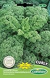 Germisem Grünkohl CURLY