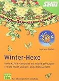 Salus Winter-Hexe Kräuter-Gewürztee (15 FilterBeutel = 30g) BIO, 3er Pack (3 x 30 g)