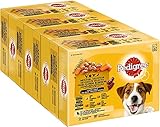 Pedigree | Geflügel-Selektion in Sauce | 4 Varietäten Huhn, Truthahn, Geflügel, Ente | Multipack Adult 4x12x100g