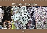 Welt der Flechten (Wandkalender 2022 DIN A2 quer)