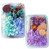 2 Box Trockenblumen Handwerkliche Deko Trockenblumen Natürliche Gemischte Getrocknete Blätter Trockenblumen Set Komplett für Kunst Basteln DIY Harz Scrapbooking Handwerk Karten Machen（ Blau+violett）