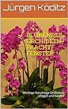 BLÜHENDES ORCHIDEEN-PRACHT-FENSTER: Wichtige Ratschläge Orchideen pflegen und k