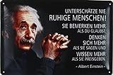 Blechschild 20x30cm gewölbt Unterschätze nie ruhige Menschen Zitat Einstein Deko Geschenk S