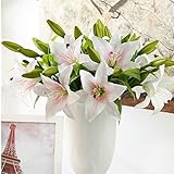 Yyhmkb Short Pole Simulation Lilie Blume Wohnaccessoires Gefälschte Blumendekoration Blumensimulation Lilie 5 Stück Pulverk